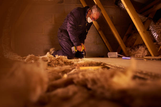 Types of Insulation We Offer in CA